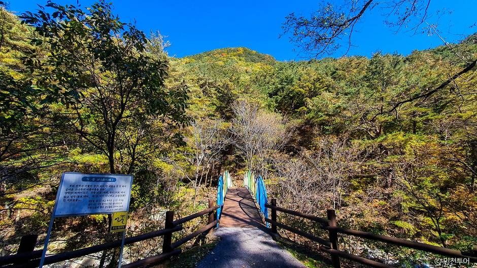 정선_국립 가리왕산자연휴양림 (9)