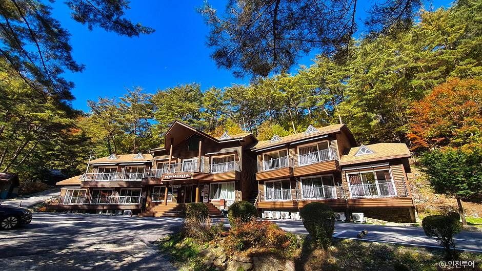 정선_국립 가리왕산자연휴양림 (10)