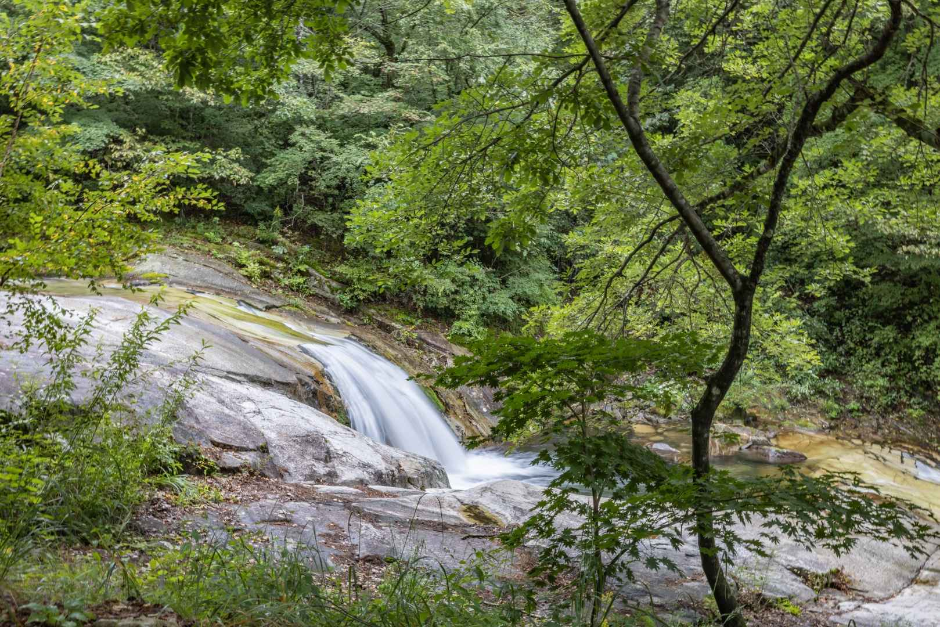 국립방태산자연휴양림 (2)