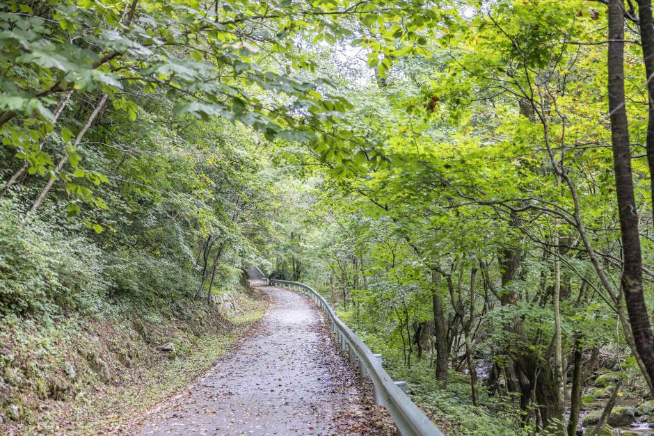 국립방태산자연휴양림 (5)