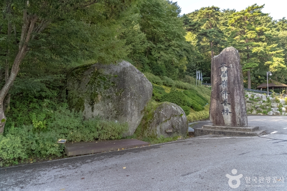 국립 대관령자연휴양림 (3)