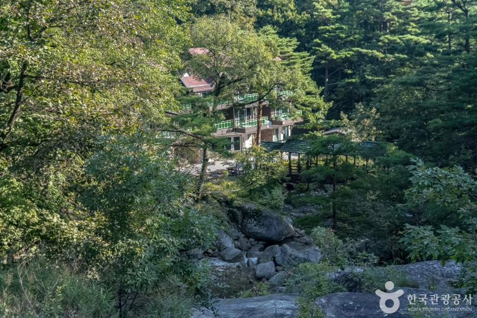 국립대관령자연휴양림