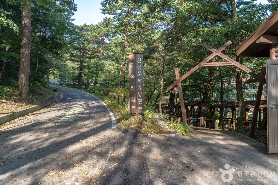 국립 대관령자연휴양림 (9)