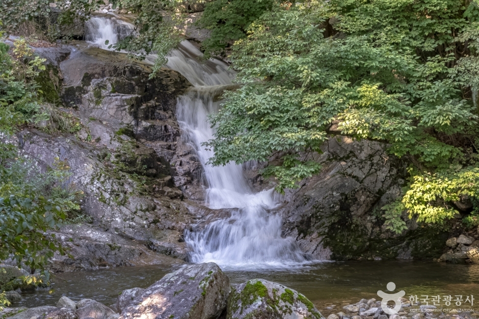 국립 대관령자연휴양림 (18)