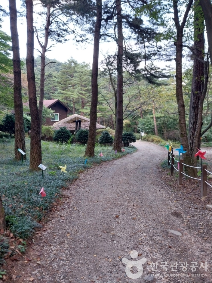 국립 대관령자연휴양림_9