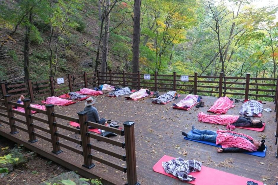 강릉_국립대관령치유의숲 (3)