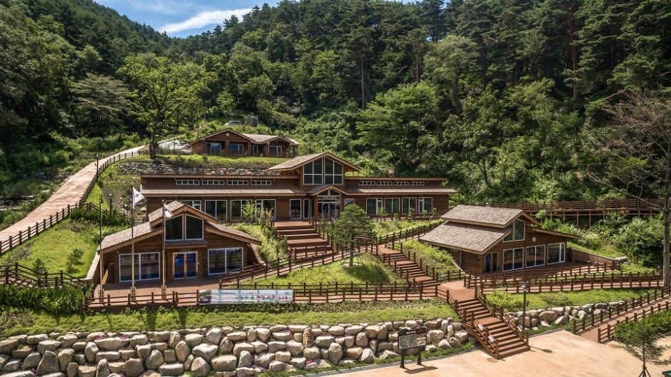 강릉_국립대관령치유의숲 (4)