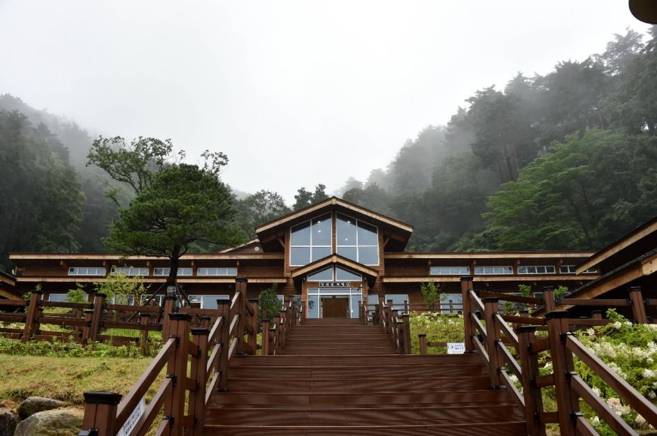 강릉_국립대관령치유의숲 (10)