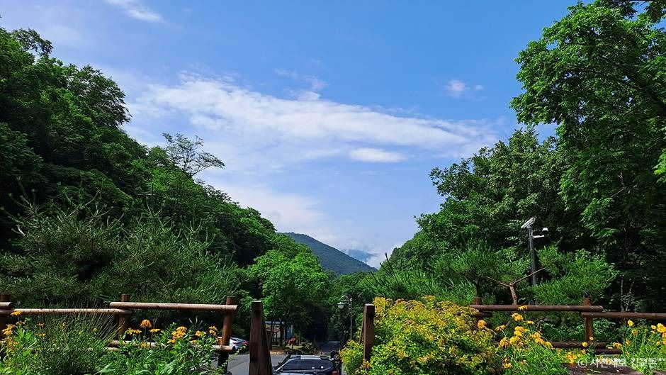 평창_국립두타산자연휴양림 (1)