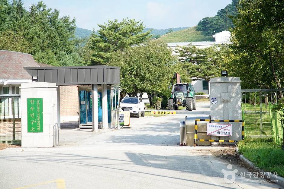 국립축산과학원 한우연구소 (01)