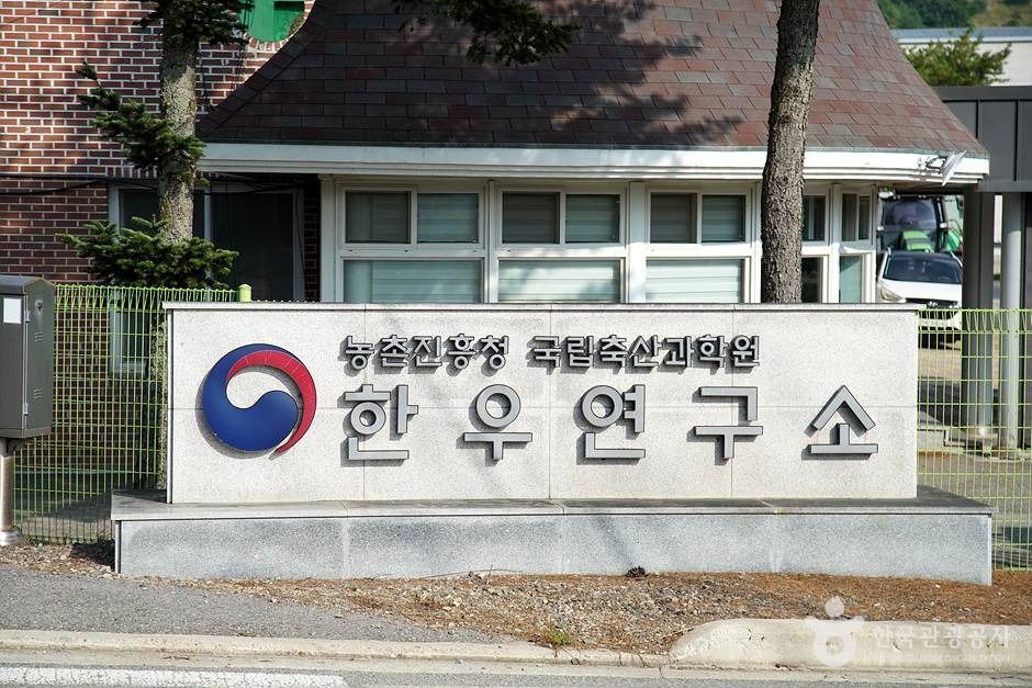 국립축산과학원 한우연구소 (11)