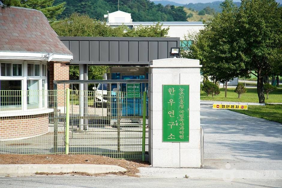 국립축산과학원 한우연구소 (15)