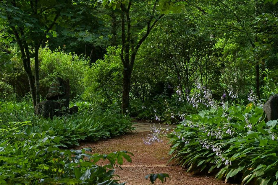국립한국자생식물원_비밀의 화원