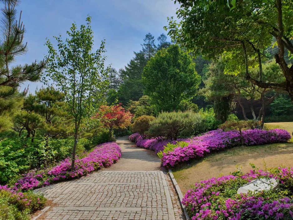 국립한국자생식물원_특산식물원