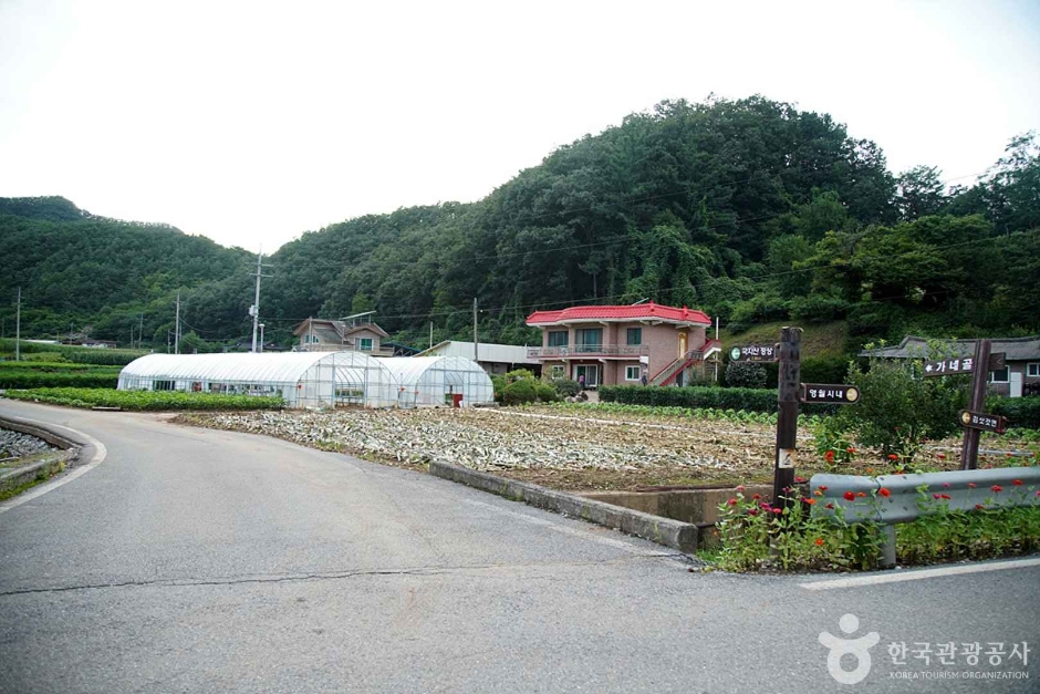 국지산 (12)