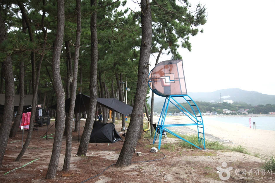 궁촌해수욕장 (17)