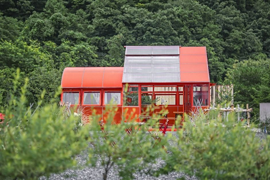 영월_그래도팜 (2)