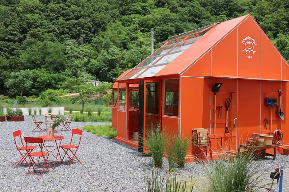 영월_그래도팜 (3)