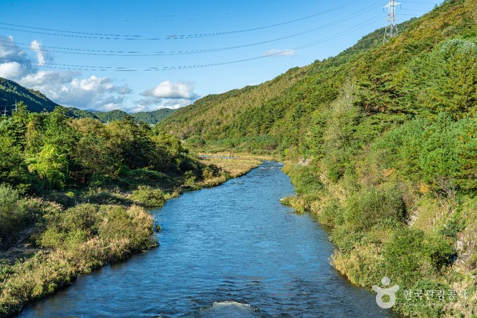 평창_금당계곡 (4)