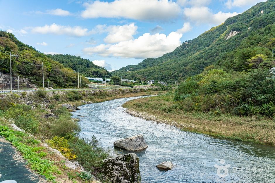 평창_금당계곡 (5)