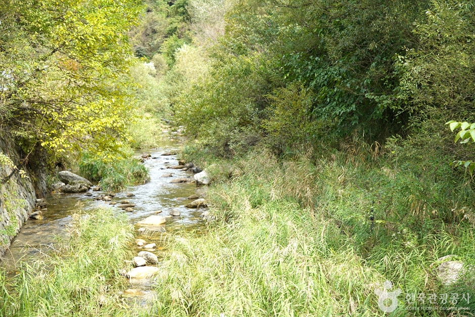 금대계곡 (12)