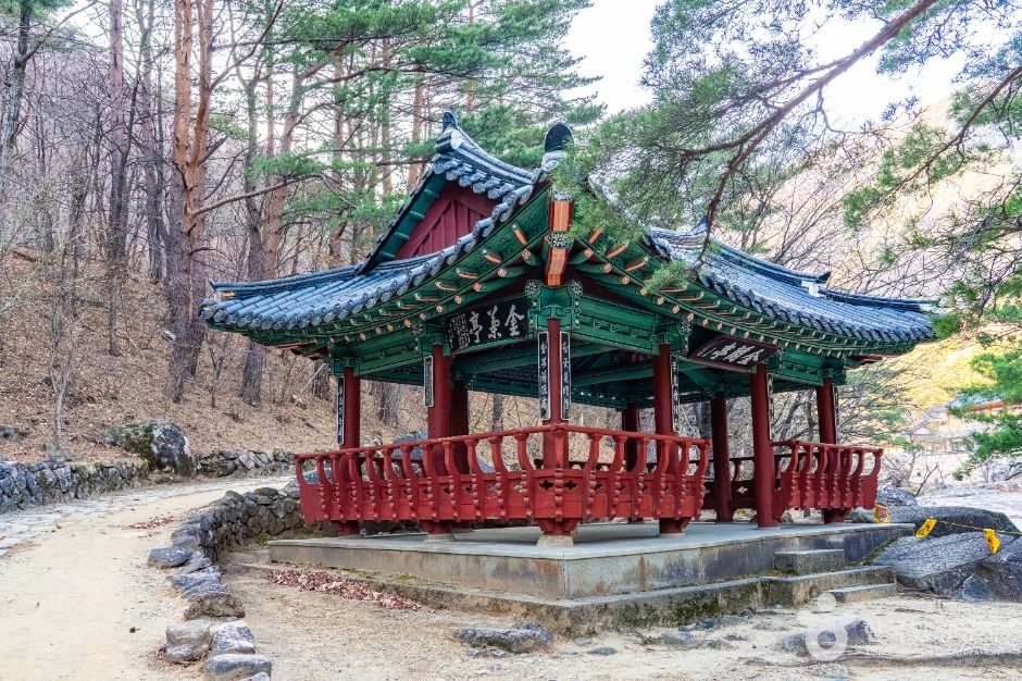 동해_금란정 (2)