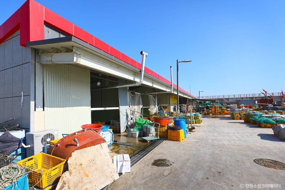 강릉_금진항(강릉) (5)