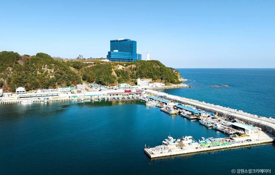 강릉_금진항(강릉) (2)