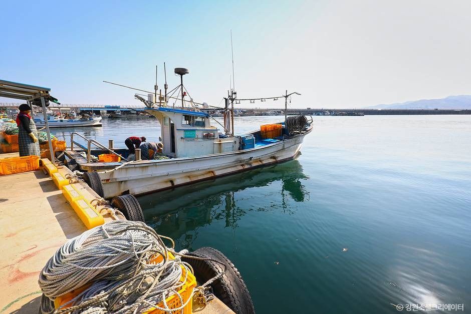 강릉_금진항(강릉) (4)