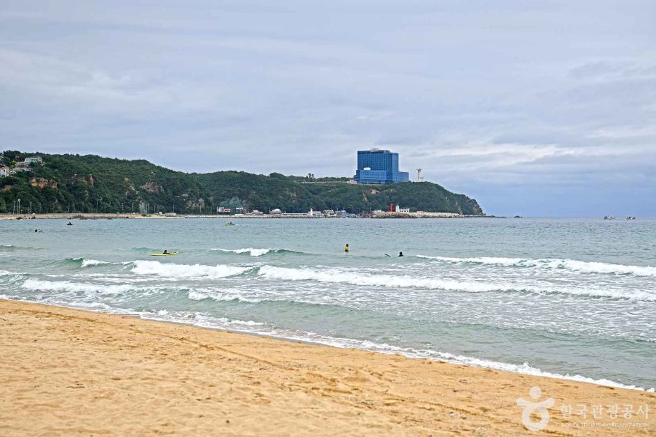 강원_강릉_금진해변 (1)