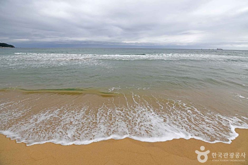 강원_강릉_금진해변 (6)