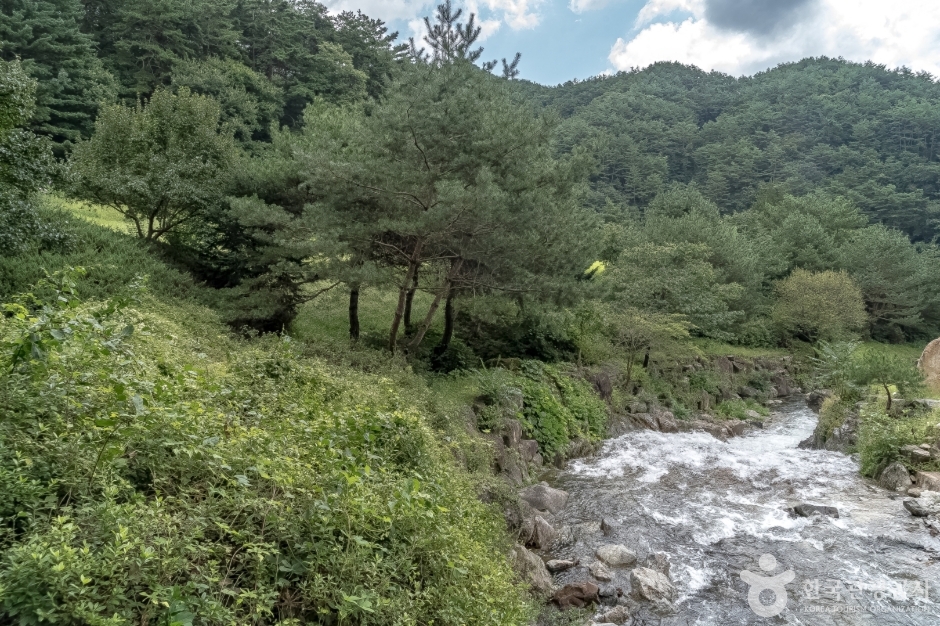 김삿갓 묘역 (12)