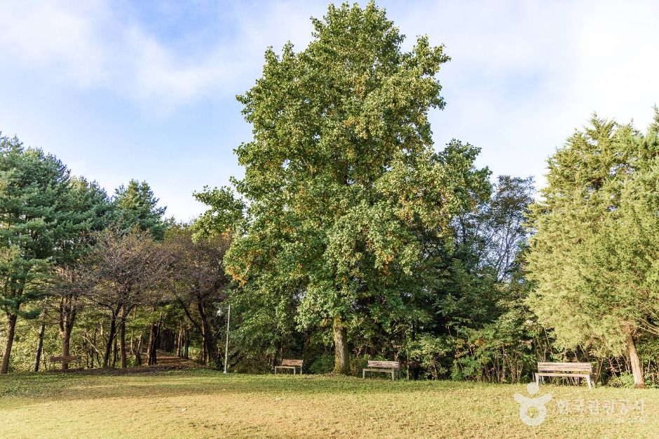 철원_김화군민 망향탑 (5)