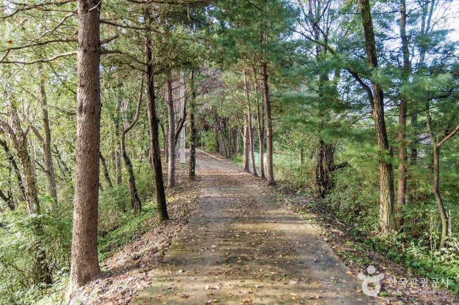 철원_김화군민 망향탑 (6)