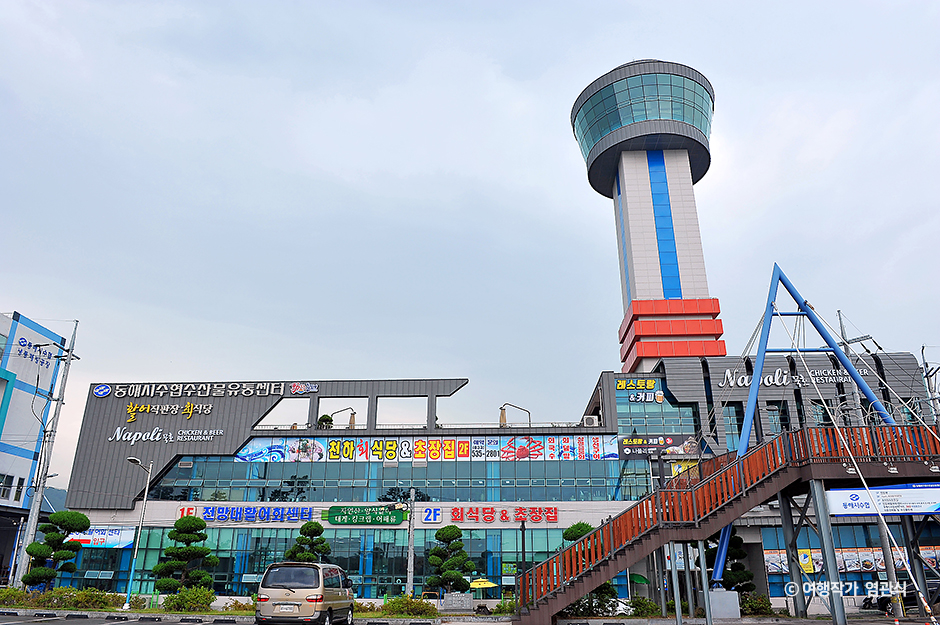 전망대활어회센터 (묵호항전망대)