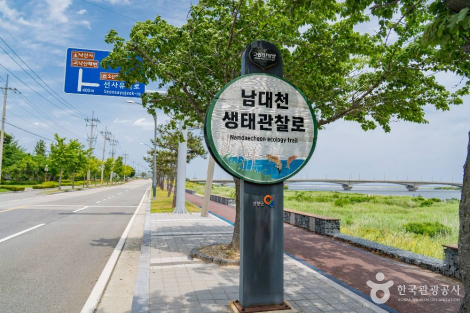 양양_남대천 생태관찰로 (1)