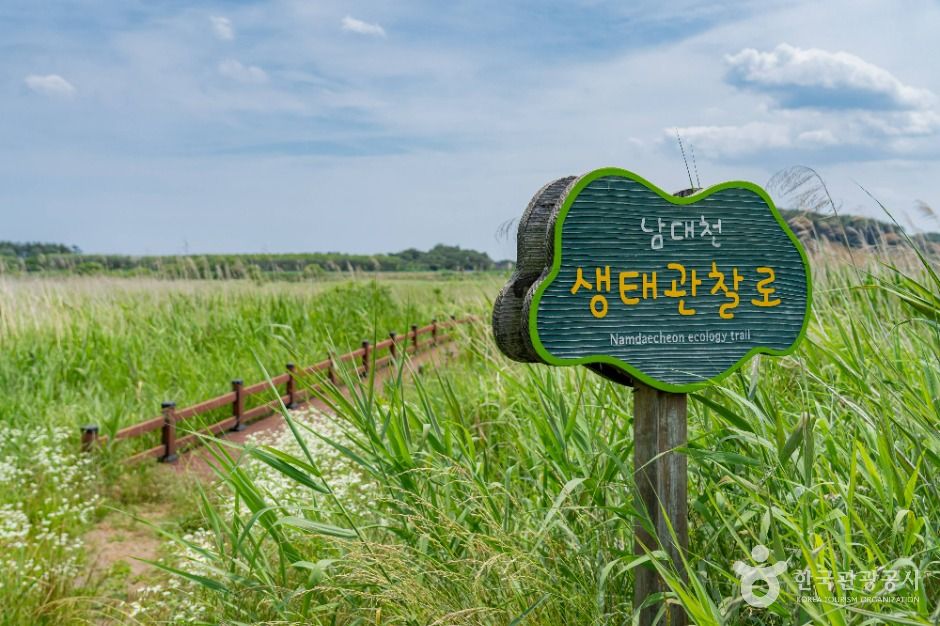 양양_남대천 생태관찰로 (2)