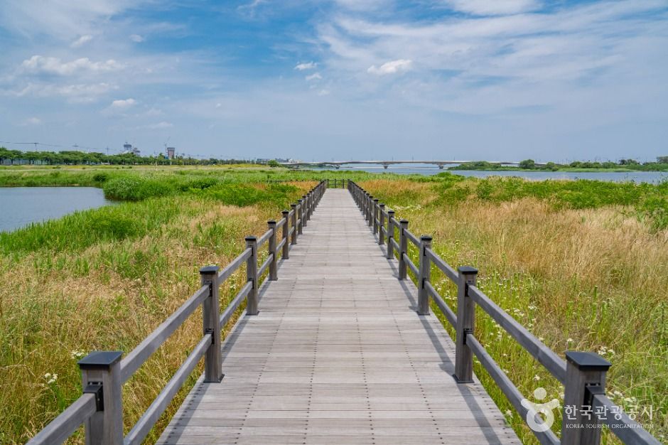 남대천 생태관찰로