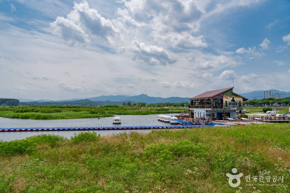 양양_남대천 생태관찰로 (5)