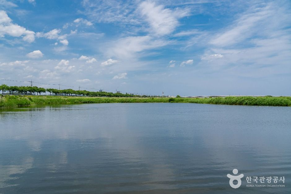 양양_남대천 생태관찰로 (8)