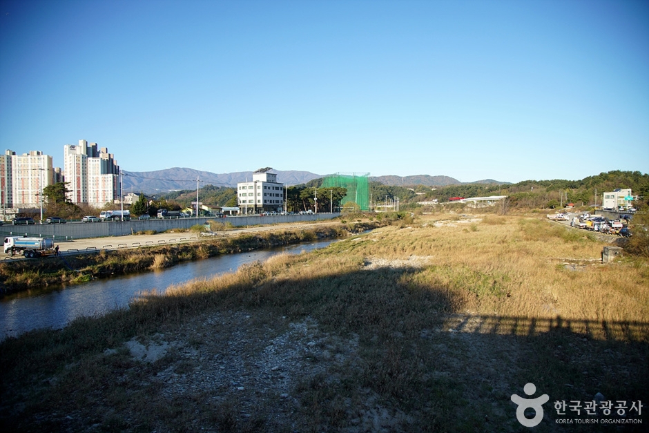 남대천(강릉) (7)