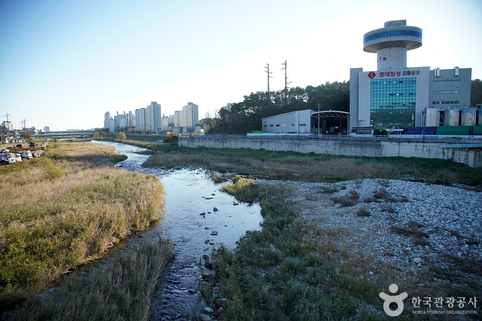 남대천(강릉) (9)