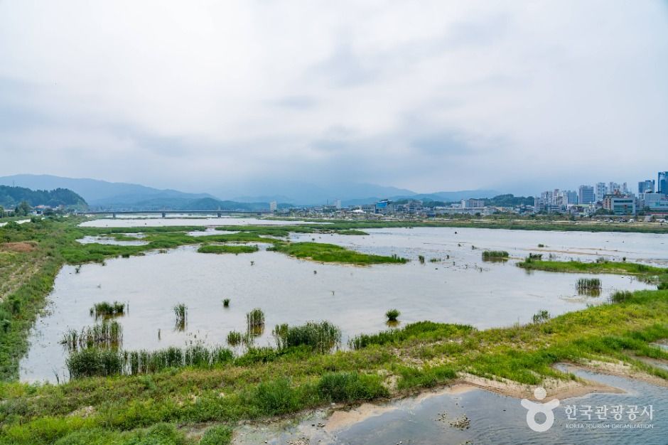 양양_남대천 (2)