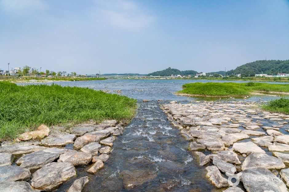 양양_남대천 (6)