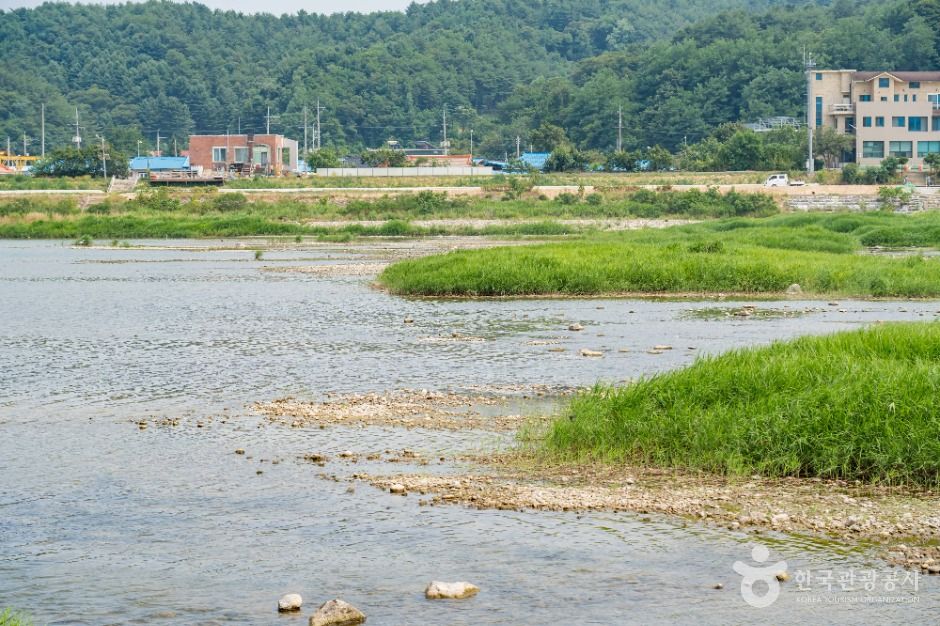 양양_남대천 (8)