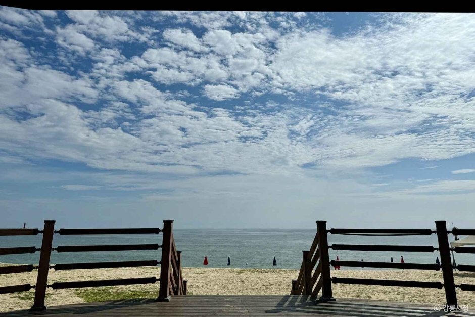 남항진해변(남항진해수욕장) (3)