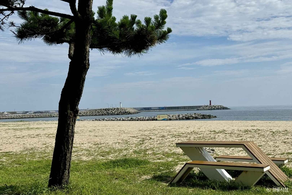 남항진해변(남항진해수욕장) (4)