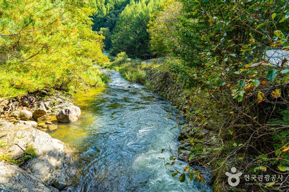 인제_내심적계곡 (3)