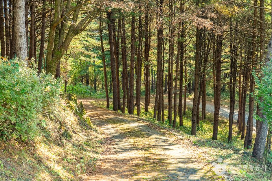 평창_노산성 (5)