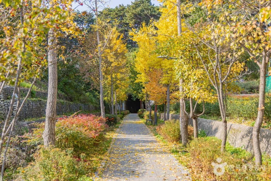 강릉_노암터널 (1)